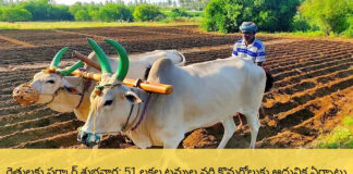 ఖరీఫ్ లక్ష్యం 51 లక్షల టన్నులు: రైతులకు 48 గంటల్లో డబ్బు, WhatsApp రిజిస్ట్రేషన్ |