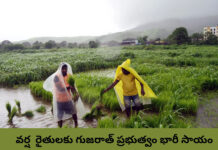 గుజరాత్లో వరదలతో నష్టపోయిన రైతులకు ఊరట  |