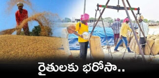 ధాన్యం కొనుగోలు కేంద్రాలకు సర్కార్ సిద్ధం |