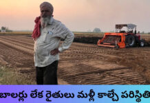 పంట అవశేషాల నిర్వహణకు రైతుల విజ్ఞప్తి    |