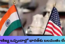 పట్టపగలే ఒత్తిడిలో ఒప్పందాలు కుదరవు: గోయల్   |