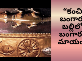 కంచి బంగారు బల్లిలో బంగారం మాయం – ఆలయ భక్తులలో కలకలం