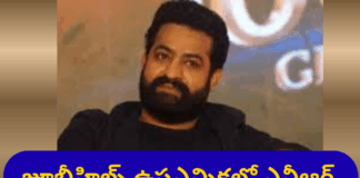 జూబ్లీహిల్స్ ఉపఎన్నికలో ఎన్టీఆర్ క్రేజ్ – రాజకీయ టర్నింగ్ పాయింట్ |