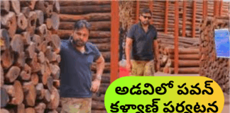 తిరుపతి అడవుల్లో పవన్ కళ్యాణ్ పర్యటన – ప్రకృతి సంరక్షణకు ప్రాధాన్యం|