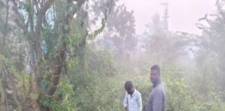 భగత్ సింగ్ కాలనీలో పోలీస్ సిబ్బంది వారి కార్డెన్ సెర్చ్ సెర్చ్ |