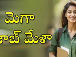 కర్నూలు జిల్లా లో ఉద్యోగ మేళ |