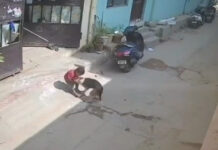 హైదరాబాదులో మరో బాలుడిపై వీధి కుక్క దాడి.|