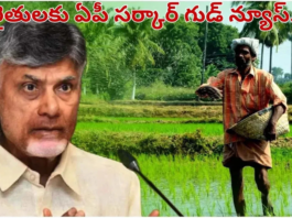 రైతులకు ఏపీ సర్కార్ గుడ్ న్యూస్.. వారికి రూ.లక్ష.. పూర్తి వివరాలు ఇవే |