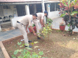 ఎన్టీఆర్ జిల్లాలో స్వర్ణ ఆంధ్ర – స్వచ్ఛ ఆంధ్రకు శ్రీకారం |