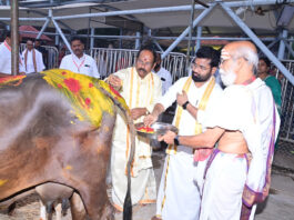 విజయవాడ ఇంద్రకీలాద్రిపై ఘనంగా గోపూజ మహోత్సవం