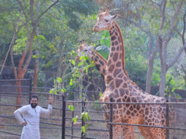 Pawan Kalyan: తల్లి పుట్టినరోజున కీలక నిర్ణయం తీసుకున్న పవన్ కల్యాణ్.
