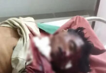 రోడ్డు ప్రమాదంలో వ్యక్తి మృతి