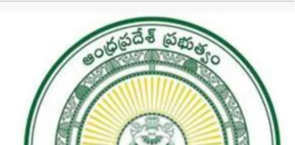 ఏపీ ప్రభుత్వం సరికొత్త నిర్ణయం – ఆ రంగానికి ప్రత్యేక బడ్జెట్ |