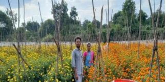 పుంగనూరు: రైతులు సబ్సిడీ పొందవచ్చు.