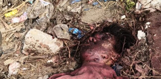 చీరాలలో యువకుడి హత్య..! తలకు తీవ్ర గాయం, మెడ చుట్టూ కత్తిపోట్లు