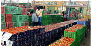 అన్నమయ్య జిల్లాలో టమోటా ధరల పతనం. |