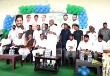 పార్టీ పటిష్టతకు కమిటీలు కీలకం: పెద్దిరెడ్డి |