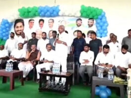 పార్టీ పటిష్టతకు కమిటీలు కీలకం: పెద్దిరెడ్డి |