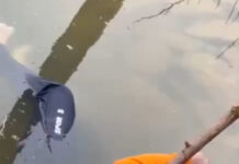 మదనపల్లె ఘటన: డీఐజీ ప్రకటన వెలువడిన గంటల్లోనే నిందితుడి మృతి