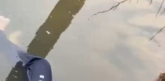 మదనపల్లె ఘటన: డీఐజీ ప్రకటన వెలువడిన గంటల్లోనే నిందితుడి మృతి