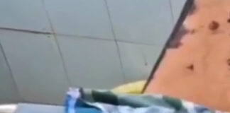 చెట్టుపై నుంచి పడి రైతుకు తీవ్ర గాయాలు