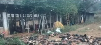 పుంగనూరునియోజకవర్గం: సదుం మండలంలో వేలాది కోళ్లు మృతి