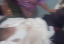 బొలెరో ఢీకొని వ్యక్తికి తీవ్ర గాయాలు: ఆసుపత్రికి తరలింపు