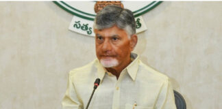 ఏలూరు జిల్లాలో 500 ఎకరాల్లో కోకో సిటీ: సీఎం చంద్రబాబు