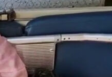 మదనపల్లె రైల్వే స్టేషన్లో ప్రమాదం: వృద్ధురాలికి గాయాలు |