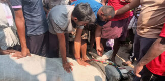 తర్లుపాడు: వేణుగోపాల స్వామి బ్రహ్మోత్సవాల్లో అపశృతి