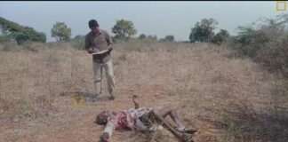 దోర్నాల మండలం: భూతగాదాతో అన్న హత్య