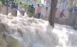 పుంగునూరు పట్టణం లో పరవళ్ళు తొక్కిన కృష్ణమ్మ