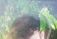 మదనపల్లె బాలిక హత్య కేసు: నిందితుడు పోలీసుల అదుపులో