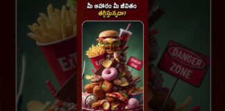 Bharat Aawaz 🌟1 Plate Momos = -36 Minutes of Life? 😱 నమ్మలేని నిజాలు! | Food & Lifespan Logic🔖