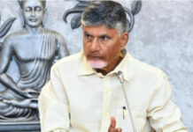 పుట్టా మహేశ్పై చంద్రబాబు సీరియస్: పార్టీకి నష్టం చేసే వారిని భరించలేం.