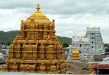 శ్రీవారి భక్తులకు గమనిక: మార్చి 17న వీఐపీ బ్రేక్ దర్శనాలు రద్దు.