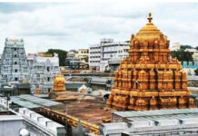 TTD: తిరుమలలో పట్టు శాలువాల స్కామ్ ఎఫెక్ట్.. టీటీడీ కీలక నిర్ణయం.