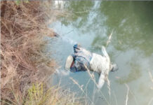 పాలెంపల్లి గ్రామ సమీపంలో మృతదేహం కలకలం |