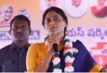 YS Sharmila: చంద్రబాబు పాపులేషన్ పాలసీపై షర్మిల సెటైర్.