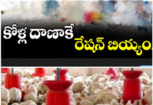 కోళ్ల దానాకే రేషన్ బియ్యం