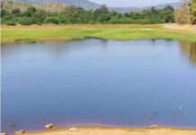 పుంగనూరు నియోజకవర్గం : ఆ రైతులందరికీ గుడ్ న్యూస్