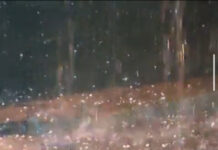 మనూర్, వాడగాళ్ల వాన |