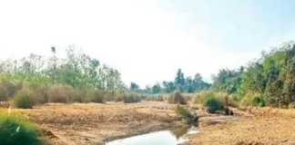 వేసవి రాకముందే నీటి ఎద్దడి..