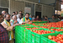 మదనపల్లి మార్కెట్లో చిన్న క్రేట్ల విధానం ప్రారంభం.