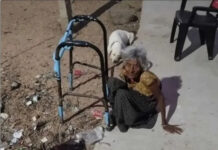 పుంగనూరు నియోజకవర్గం : పాపం చిన్న పాపమ్మ