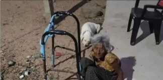 పుంగనూరు నియోజకవర్గం : పాపం చిన్న పాపమ్మ