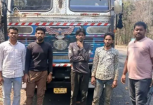 గోవుల అక్రమ రవాణా భగ్నం