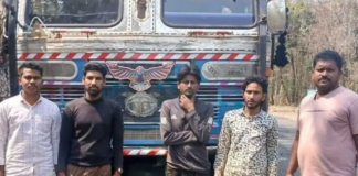 గోవుల అక్రమ రవాణా భగ్నం