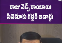 మట్టి వాసన.. మన సినిమా: వెండితెరపై సత్తా చాటిన తెలంగాణ చిత్రాలు.