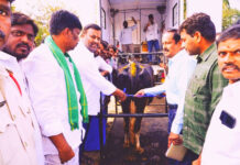 పశువుల ఆరోగ్యంపై ప్రత్యేక దృష్టి.. పుంగనూరులో వైద్య శిబిరం సందడి.